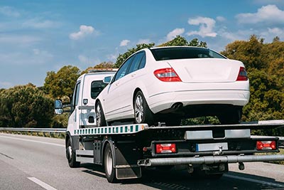 service-back-4.jpg